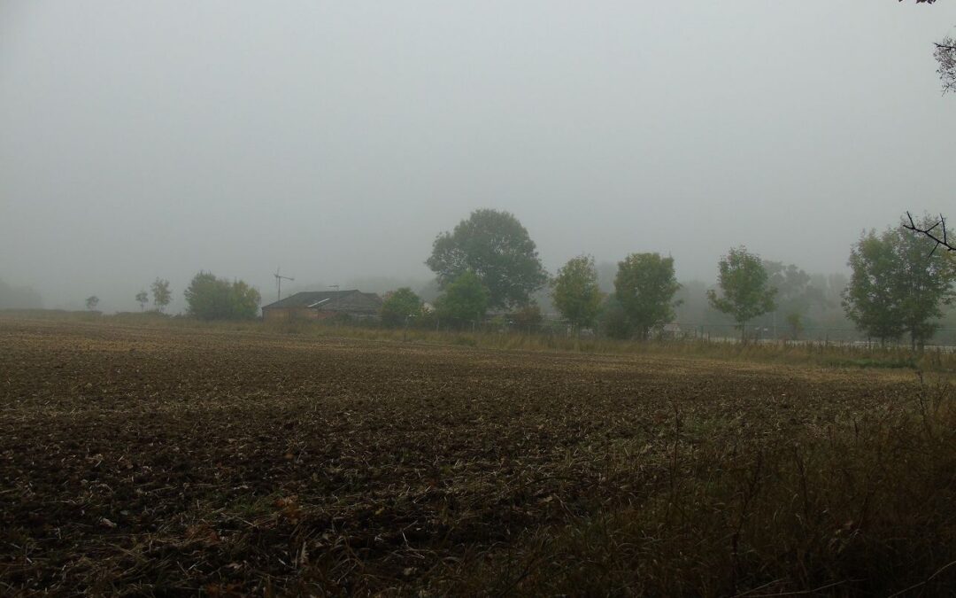 Five Dwellings on a Brownfield Site: Planning Argued Policy by Policy