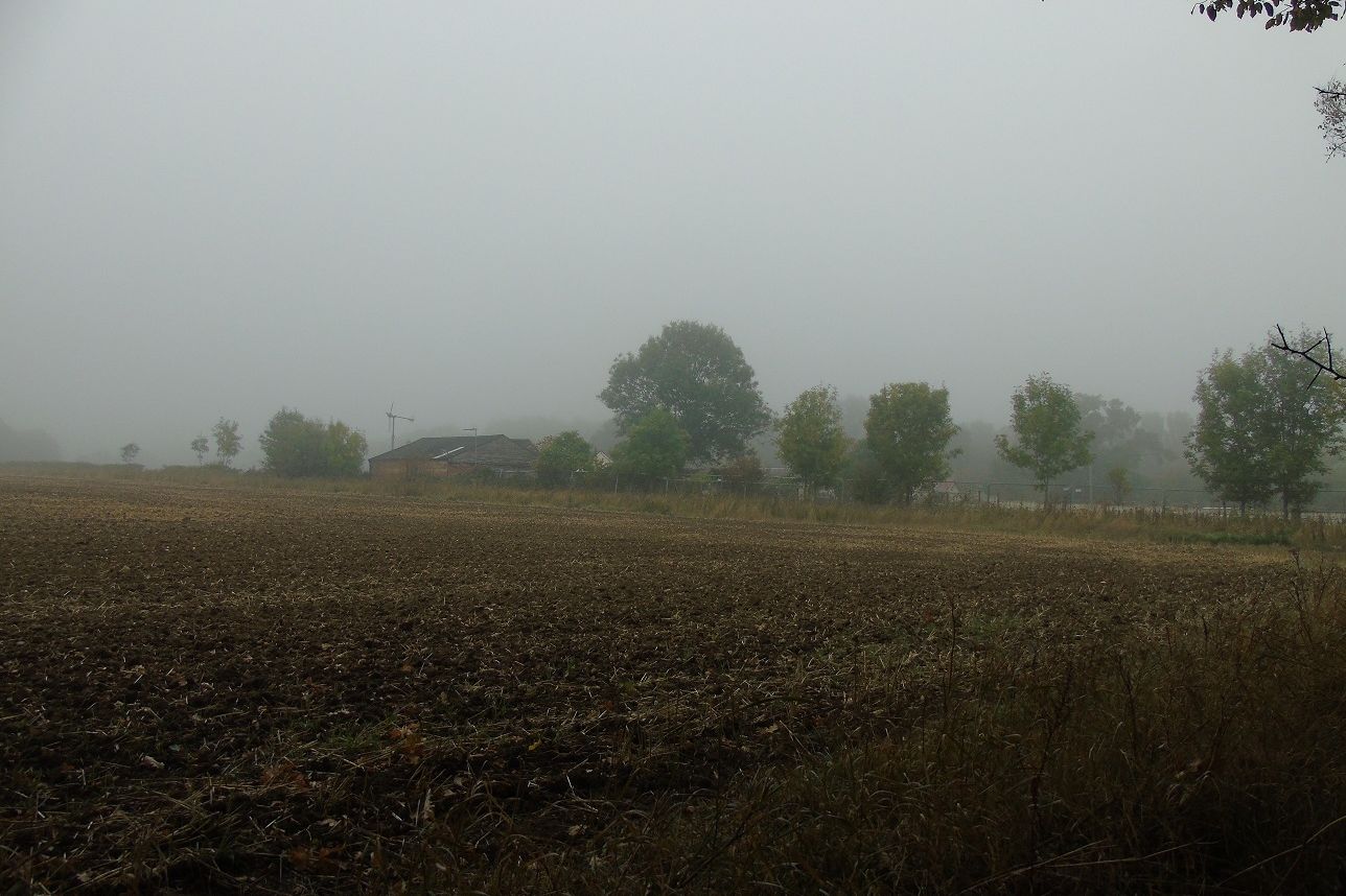 Open brownfield farmstead site in rural Essex proposed for five dwellings