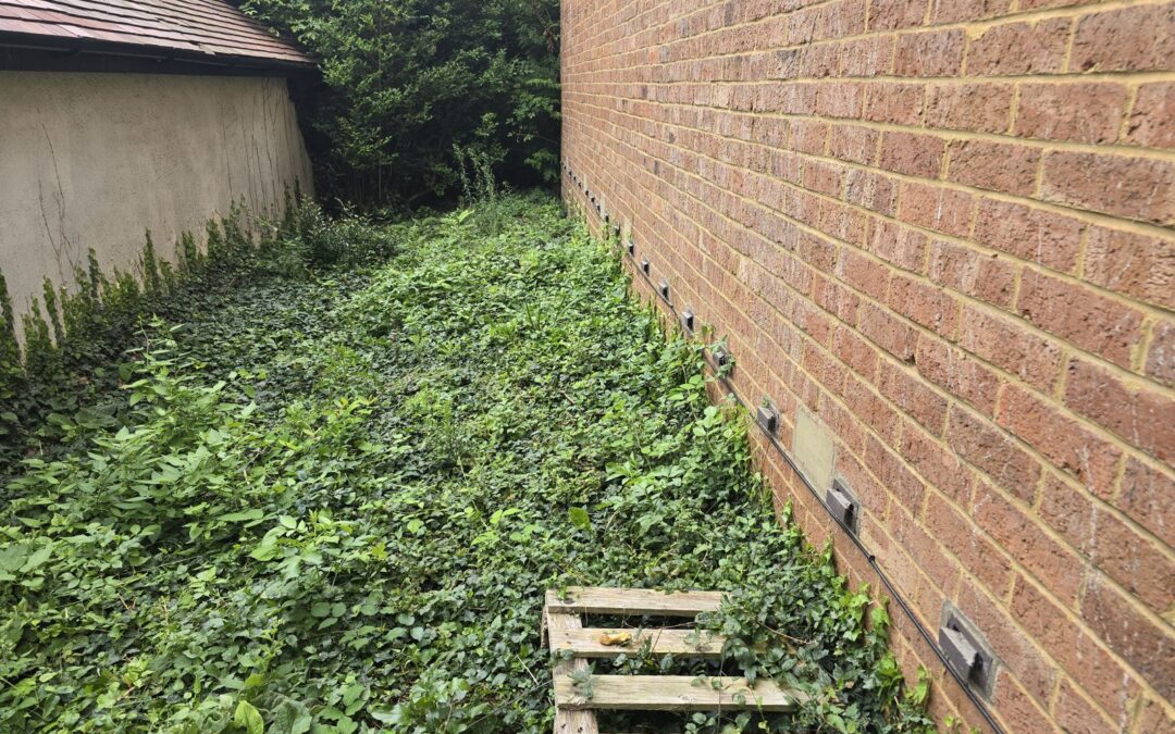 Damp Is a Symptom: Investigated Properly