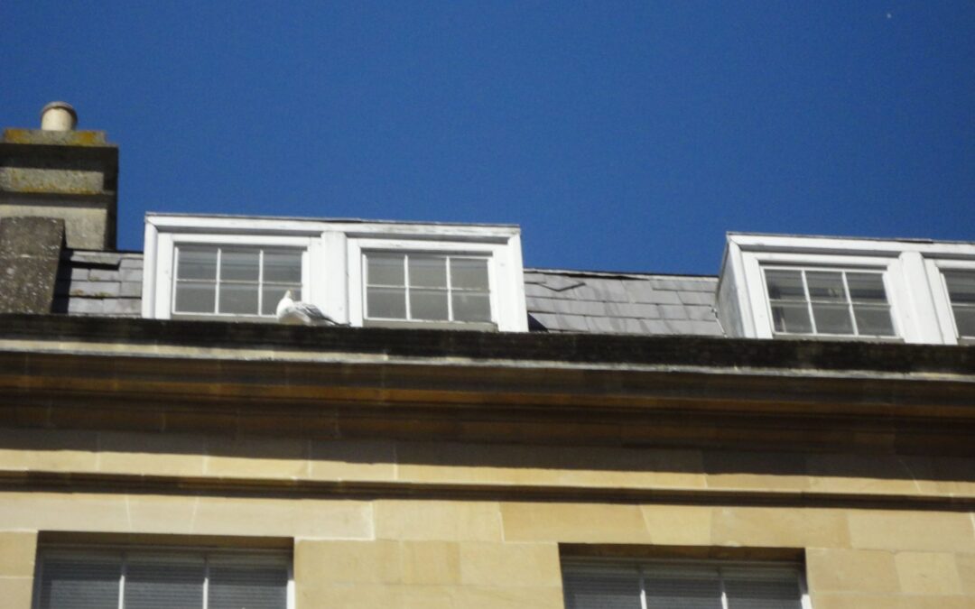 Two Consents in One Listed Building: Heritage Planning as a Service