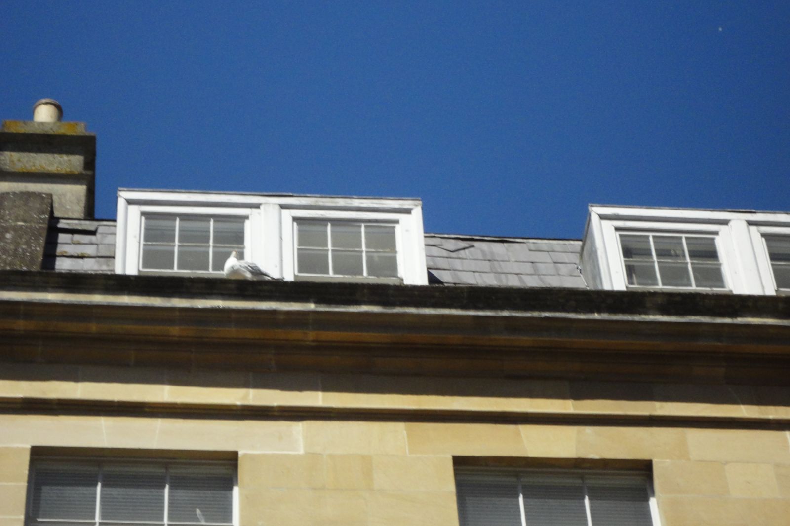 Bath stone cornice and dormer windows on a listed apartment building