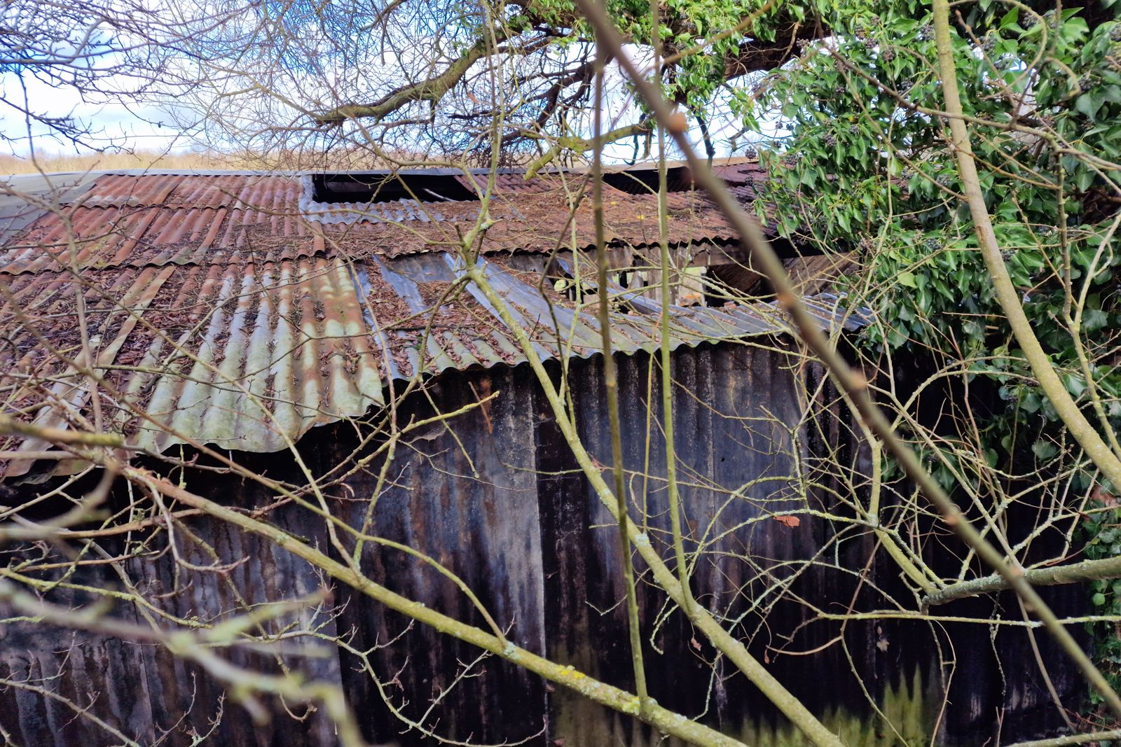 cs-rural-outbuilding Weathered corrugated outbuilding on a heritage enabling development site