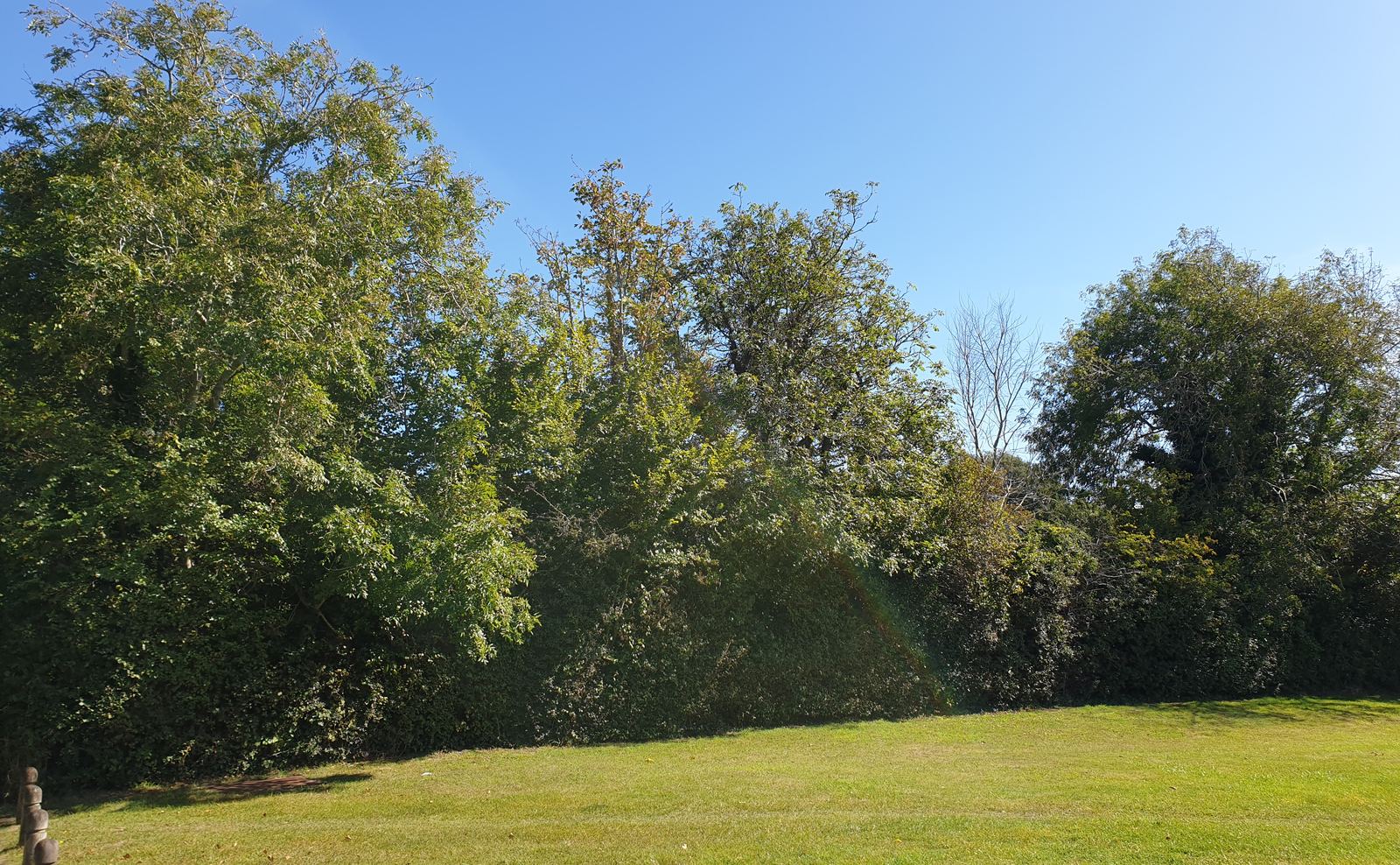 Garden and grounds around the bungalow